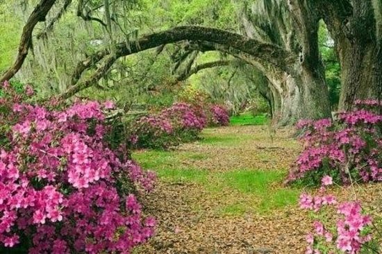 majestic-gardens Mable W. Rodgers
